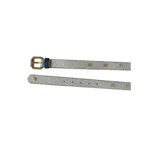 Blauer Polyvinyl-Damen-Gürtel