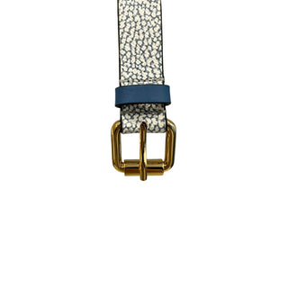 Blauer Polyvinyl-Damen-Gürtel