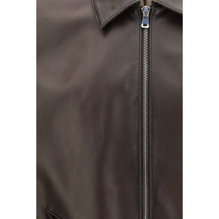 Brown Lamb Ovis Aries Aries Bomber