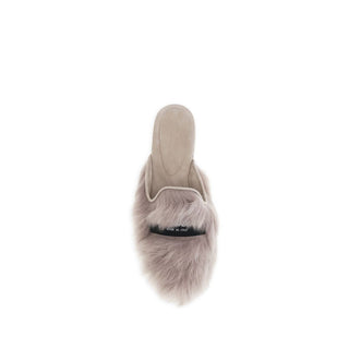 Graues Lamm Ovis Aries Aries Mules
