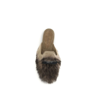 Gray Lamb Ovis Aries Aries Mules
