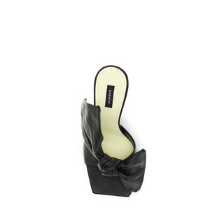 Black Lamb Ovis Aries Aries Mules