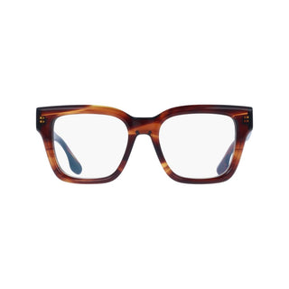 Brown Plastic Glasses (Frames)