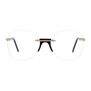Gold Metal & Plastic Glasses (Frames)