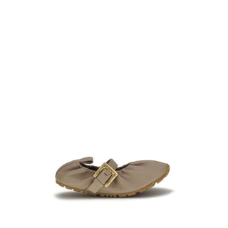 Bailarinas beige de cordero Ovis Aries Aries