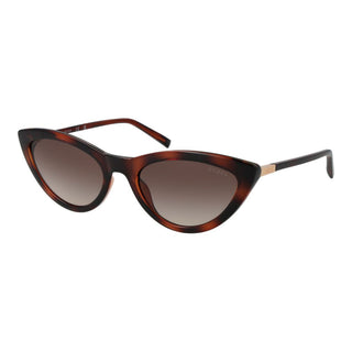 Brown Plastic Sunglasses