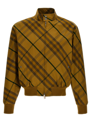 Bicolor Cotton Bomber