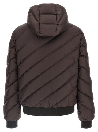 Multicolor Polyester Shell Jacket