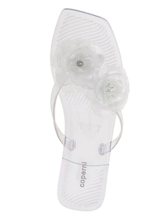 Transparent Pvc Slides