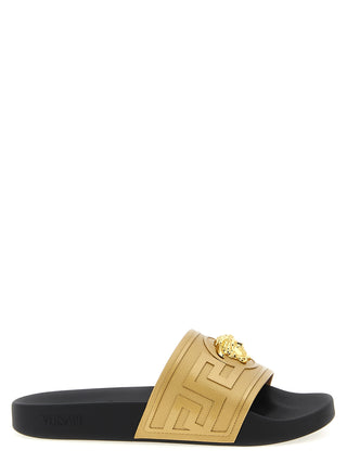 Gold Glass Slides
