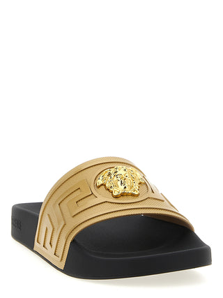 Gold Glass Slides