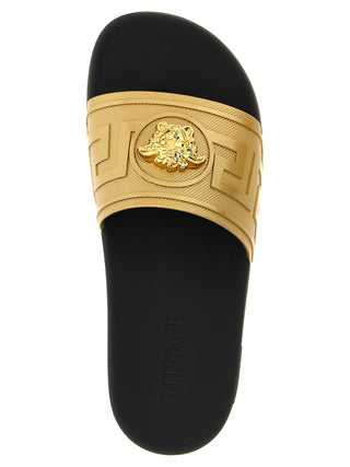 Gold Glass Slides