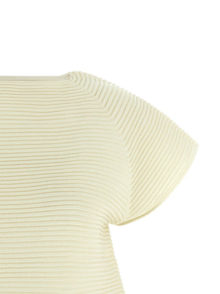 Bicolor Polyester Short Dress
