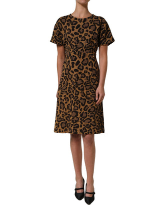 Brown LeopardPrint Flared A-line Mini Dress