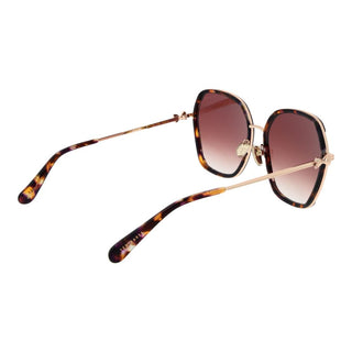 Brown Acetate Sunglasses