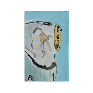 Multicolor Silk Scarf