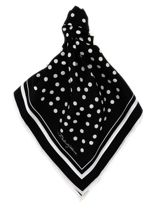 Bicolor Silk Scarf