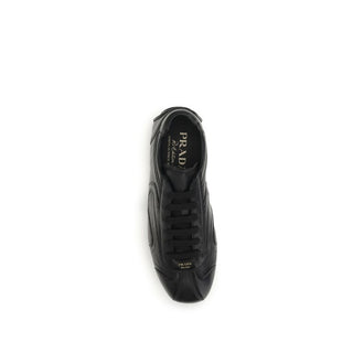 Black Lamb Ovis Aries Aries Low Top Sneakers
