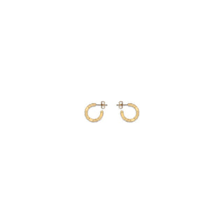 Gold Brass Earrings