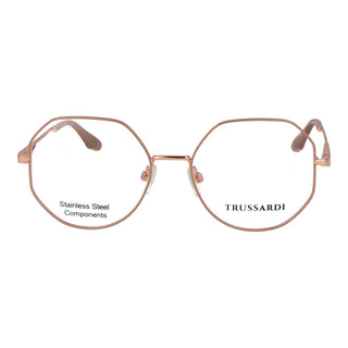 Pink Stainless Steel Glasses (Frames)