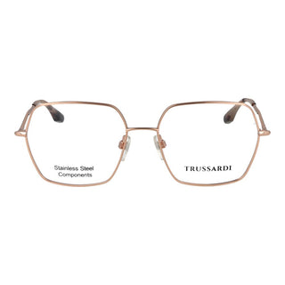 Rose Gold Stainless Steel Glasses (Frames)