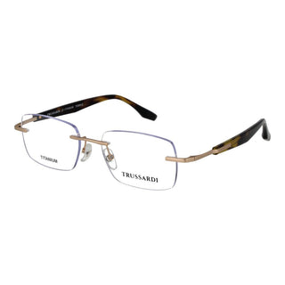 Gold Stainless Steel Glasses (Frames)