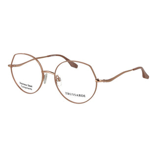 Pink Stainless Steel Glasses (Frames)