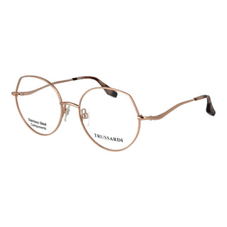 Rose Gold Stainless Steel Glasses (Frames)