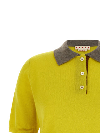 Bicolor Cashmere Polo Shirt