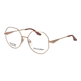 Rose Gold Stainless Steel Glasses (Frames)