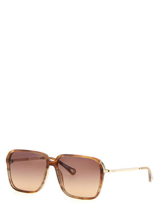 Brown Acetate Sunglasses