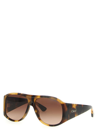 Brown Acetate Sunglasses