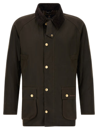 Brown Cotton Jacket