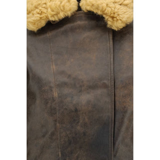Brown Lamb Ovis Aries Aries Bomber