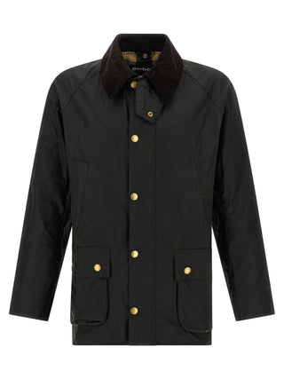 Bicolor Cotton Shell Jacket