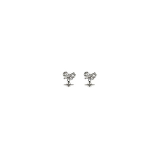 Silver Silver Earrings