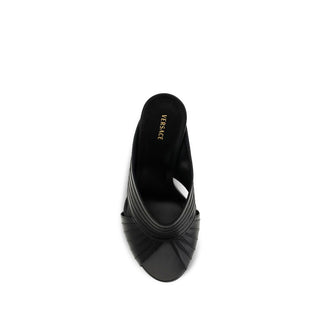 Black Lamb Ovis Aries Mules