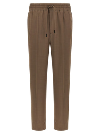 Brown Wool Casual Pants