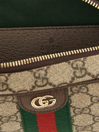 Brown Polyethylene Crossbody Bag