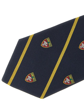 Blue Silk Tie