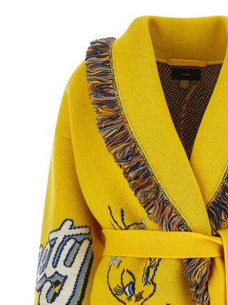 Multicolor Virgin Wool Cardigan