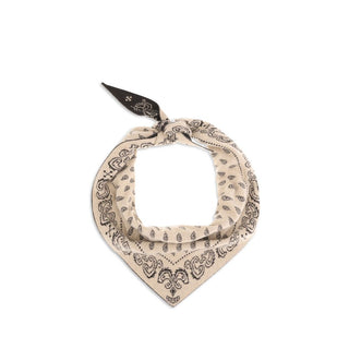 Multicolor Cashmere Scarf