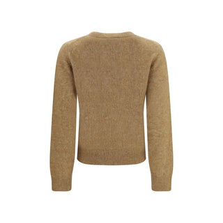 Beige Alpaca Vicugna Pacos Sweatshirt