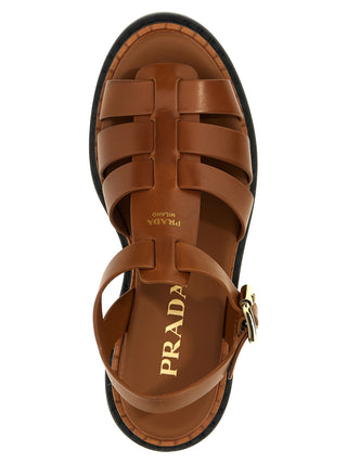 Brown Calfskin Flat Sandals