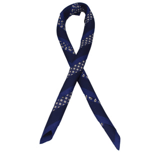 Blue Silk Foulard