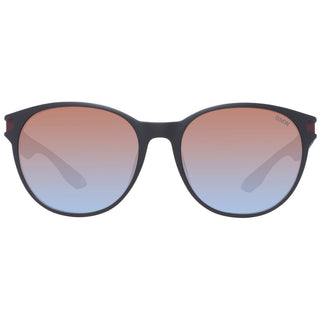 Brown Plastic Sunglasses