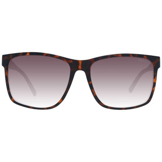 Brown Plastic Sunglasses
