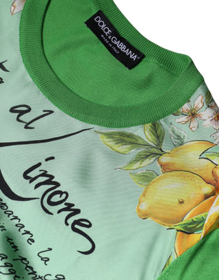 Grüner Seiden-Granita Al Limone Langarmpullover