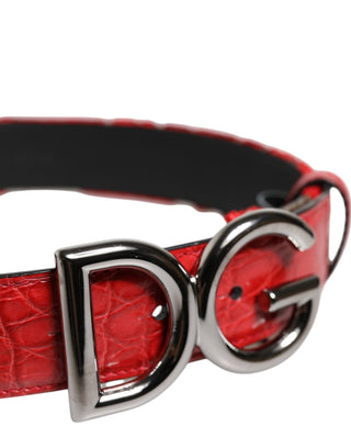 Roter Viskose-Gürtel mit silberner DG-Logo-Metallschnalle