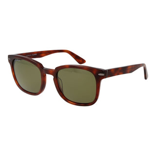 Gafas de sol marrones de acetato  